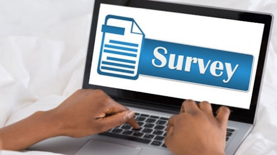 Making Money Through Online Surveys: A Simple and Efficient Method