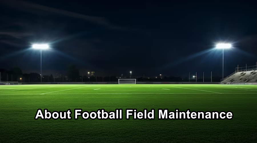 What You Should Know About Football Field Maintenance (1)